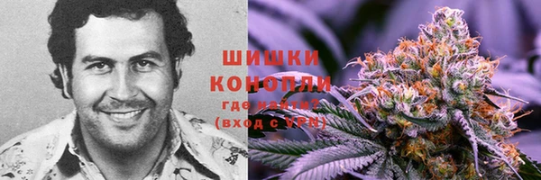spice Арсеньев