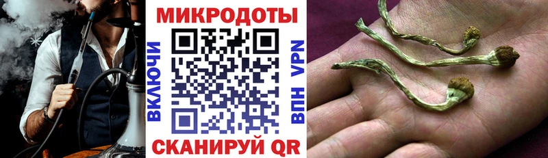 Псилоцибиновые грибы прущие грибы  мега ссылки  Чапаевск 