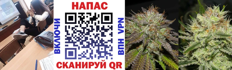 закладка  Чапаевск  Канабис VHQ 